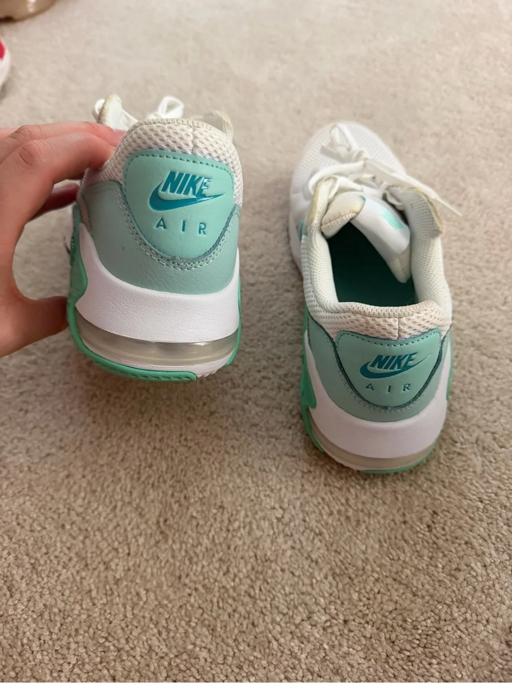 Nike Air Max Sneakers